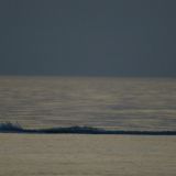 Angler vor dem Kieler Leuchtturm